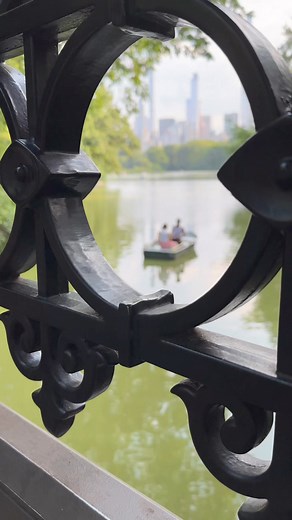 Beautiful day in Central Park | New York City Photos