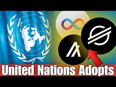 United Nation Has Chosen To Work With Stellar Lumens XLM, Internet Computer ICP And Algorand Algo!