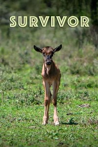Survivor (2022) - Movie