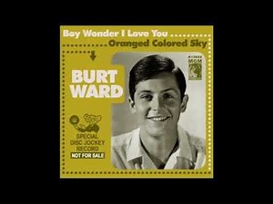 "Boy Wonder I Love You" Music Video (Burt Ward / Frank Zappa)
