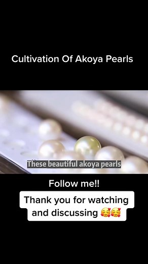 Cultivation of Beautiful Akoya Pearls