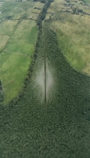 Shay-Pierce Fullerton on TikTok