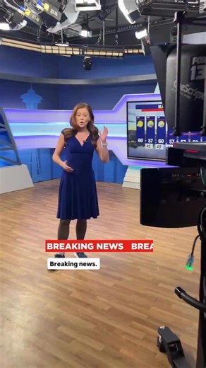 Abby Acone on Instagram: "Top performing reel from 2025 🥹 also UR GAY"