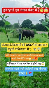 modi vs yogi adityanath flood #motivation पंजाब... 😱🙏