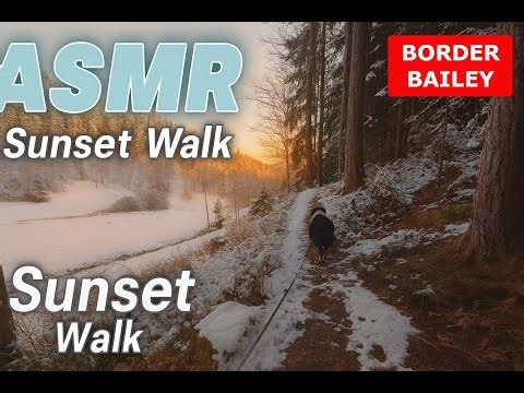 1 Hour Winter Forest Walk in Heavy Snow - Relaxing ASMR Footsteps & Nature Sounds (No Talking)