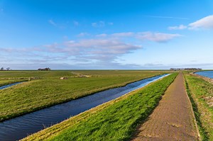 How to Build a Homemade Levee