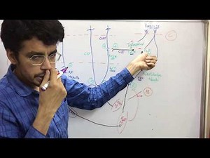 Decorticate & Decerebrate Rigidity