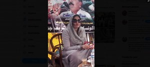 Court sentences former PPP senator two-year jail time for submitting fake degree