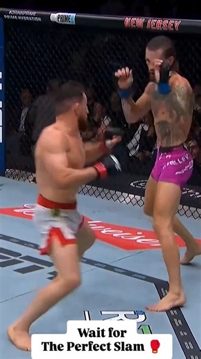 octagonpulsezone on Instagram: "Merab didn’t just take O’Malley down… he launched him. 🦅💥 Relentless pressure. Nonstop pace. Georgian power. This is why they call him The Machine. 📘 Summary During their clash, Merab Dvalishvili showcased his trademark pressure wrestling, constantly driving forward and shutting down Sean O’Malley’s striking range. In one of the most explosive moments of the fight, Merab scooped O’Malley completely off his feet and sent him crashing to the canvas with a powerfu