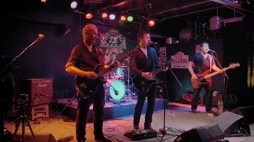 The Party Animals 100% Live playing Aussie Crawl | Party Animals Band Aus