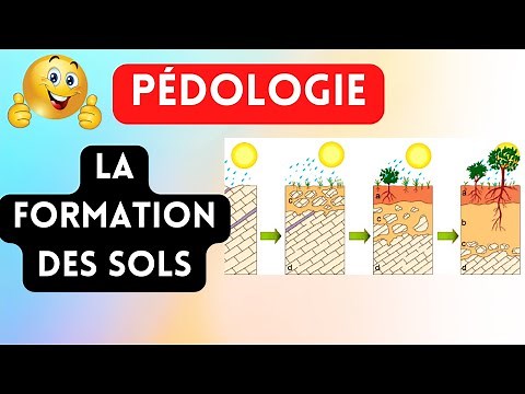 pédologie : la formation des sols #sol