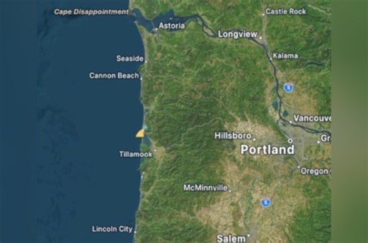 Shark Watch, Tagged Great White 'Kara' Sets Tillamook Bay Buzzing