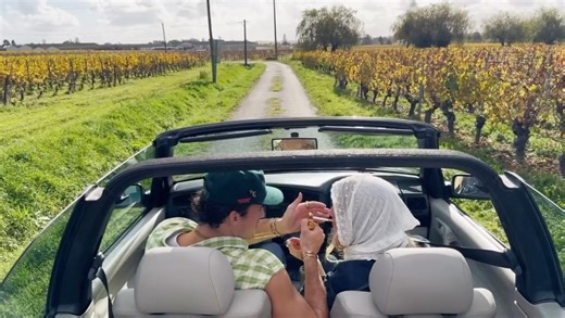 Romain Bellard | through the vineyards 🍇 | Instagram