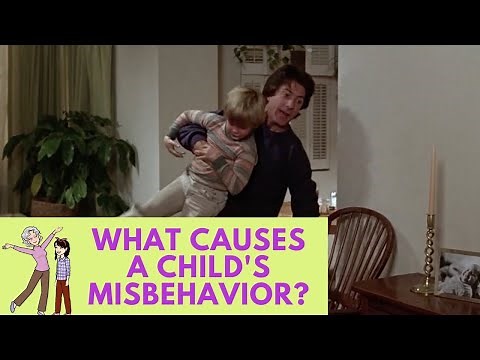 What Causes a Child's Misbehavior - Kramer vs Kramer, 1979