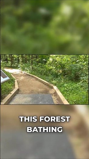 Forest Bathing Walk at Caddo Lake State Park!