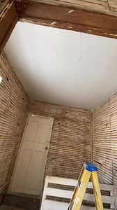 This was so much easier than the walls were 😅 #ceilings #removal #demo #lathandplaster #homerenovation #oldhouse | ELM DIY