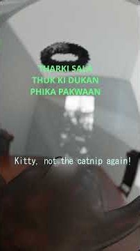 MEHRAN TAYARA #urdu #funnysong #disstrack on #toxic #desi #rishta culture, aunty Ka kallu