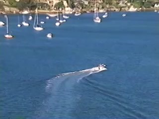 The Wiggles: LIVE! Hot Potatoes (2005 VHS)