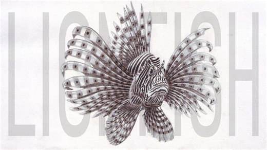 Draw a realistic lionfish with easy drawing techniques