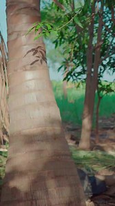 62K views · 2.7K reactions | New song on YouTube | Pandurang Waghmare Comedian | Facebook