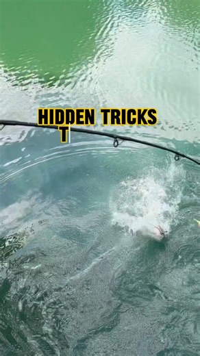 The Hidden Tricks To Catch MORE Catfish!! #shorts #fishing #catfish #catfishing