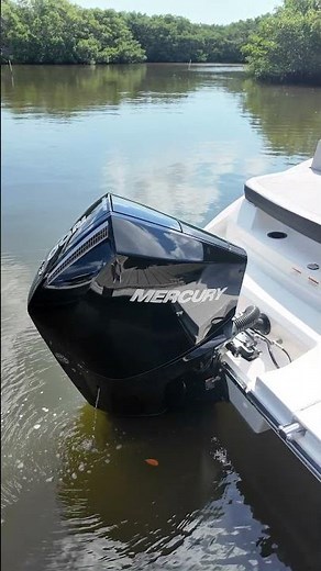 Unleash the Fun | Sea Ray SPX 210 OB