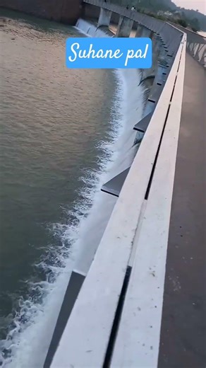 Suhane Pal #musicgenre #love #hindisong☺️