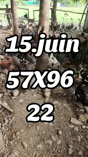Vidéos de Rlm 509 41 28 07 74 (@lakou.delivrance8) avec Future - Official Sound Studio