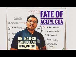 7. Fate of Acetyl CoA