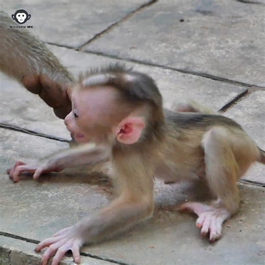 Lily real so cried angry mom Libby can't take care to her till well | | Aristotle MK