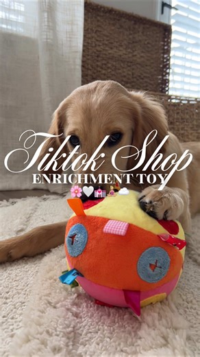 Enrichment toy 🌸🤍💒🧘🏼‍♀️☁️#fyp #dogtoy #enrichmentfordogs #enrichmentforpets #dogenrichment