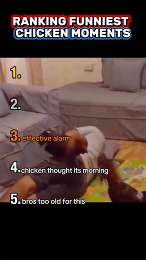 Ranking Funniest Chicken Moments