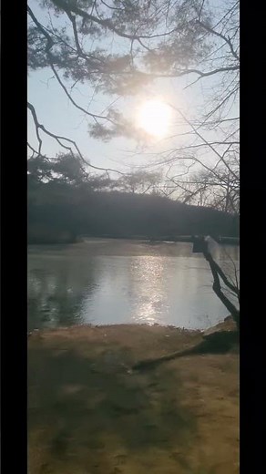 [김포 여행]" 김포장릉 연못, 돌길에 낀 안개는 작은 섬을 두루고 금빛 연못에 밝은 달은 맑은 파도를 비추네 (1850년, 시 이제상 장릉령, 김포시)