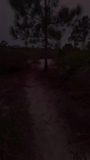 #keepgoing | Tiger Boom