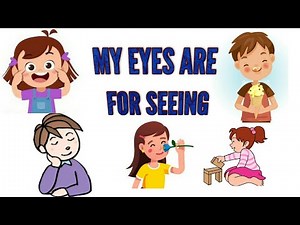 My Eyes are for Seeing Rhyme - Senses of Organs Rhymes - Sr. Kg Rhymes