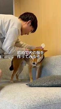 【初めて】犬の服を作ってみた！ #柴犬 #shibainu #犬服ハンドメイド