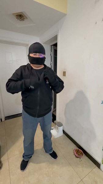 Fat Cat's Busy Day #cat #cats #cattok