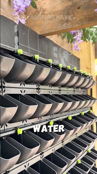 Turning Ordinary Walls Into Living Gardens🪴#businessideas #verticalgarden #gardendesign #usashorts