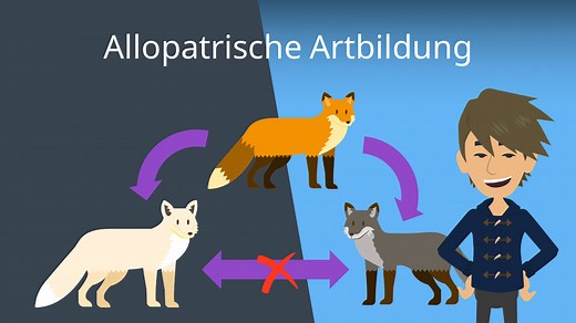 Allopatrische Artbildung • Beispiel und geografische Isolation