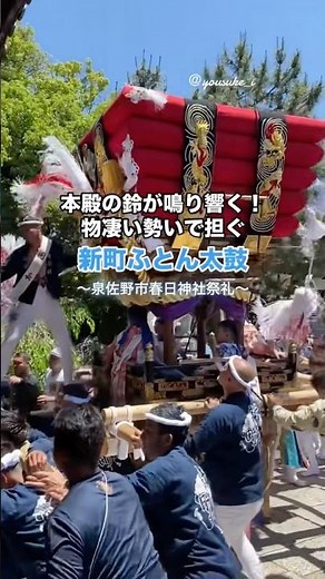 本殿の鈴が鳴り響く！物凄い勢いで担ぐ❗️新町ふとん太鼓‼️泉佐野市春日神社祭礼2026宮入