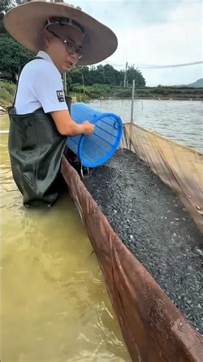 Small Fish Transfer Process