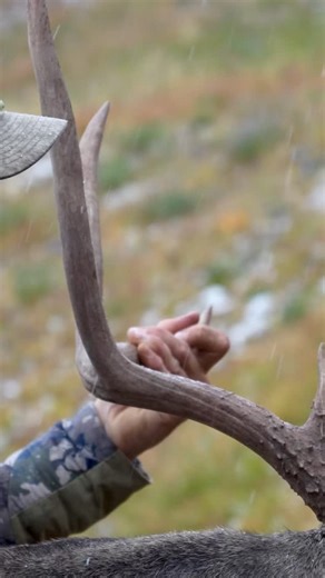 2K views · 24 reactions | Gear that keeps you smiling when the real work starts and the weather turns nasty. Today’s the last day to take advantage of our Spend $50, Get $25 offer! Every Kings Camo order of $50+ comes with a $25 Hunt Reward for your next purchase.* Your unique coupon arrives right after checkout and is valid all October. *Reward valid Oct 1–31 | Kings Camo | Facebook