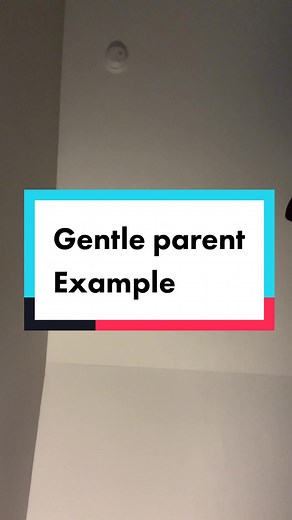 Positive Parenting Moment Caught on Camera