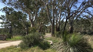 Frank Kelly still pushing hard on the final stage of Lightforce Rally SA. | RallySport Magazine