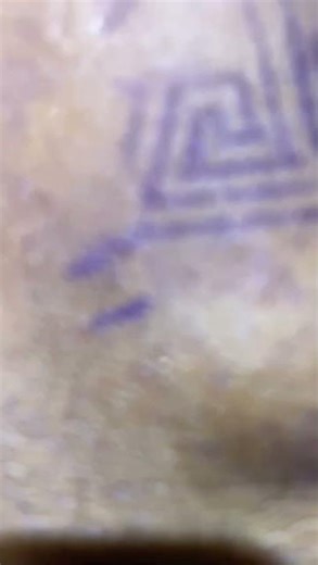 Lion Tattoo with Mandala Armor 🦁🔥 | Power, Pride & Precision Ink #tattoobyavi