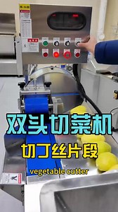 Multifunction Vegetable Cutting Machine, Onion /Cucumber /Potato Cutting Machine | KLP Food Machinery