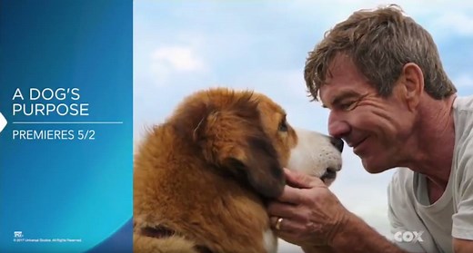 See what's new On Demand this month! Go to Channel 1 > New Releases or say "New Movies" into your Contour voice remote to watch! | Cox