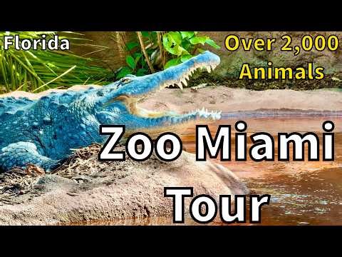 Tour of Zoo Miami [2026] - Miami, Florida - USA