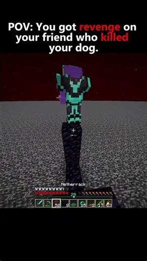 Pov - Bro killed your dog... #minecraft