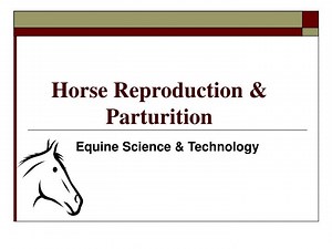 Horse Reproduction: Stallions and Mares - SlideServe